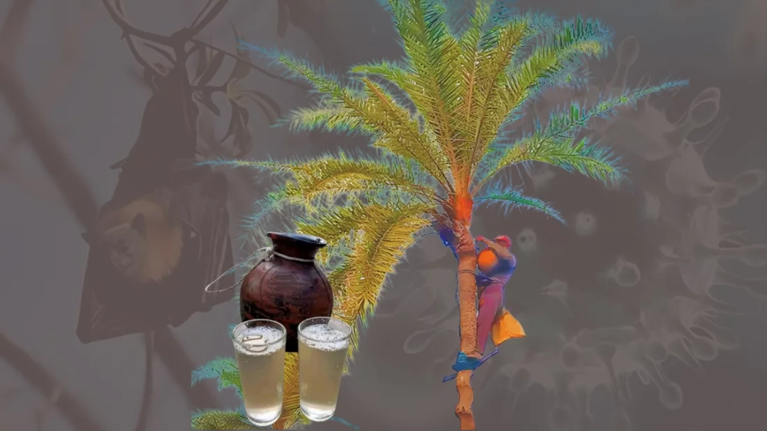 দেশের ৩৫ জেলায় ছড়িয়ে পড়েছে ভাইরাস : আইইডিসিআরের কড়া সতর্কবার্তা